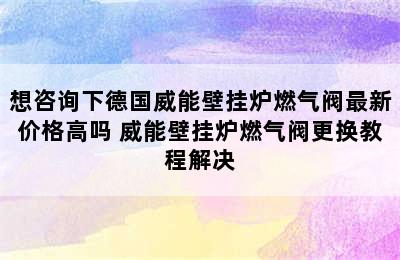 想咨询下德国威能壁挂炉燃气阀最新价格高吗 威能壁挂炉燃气阀更换教程解决